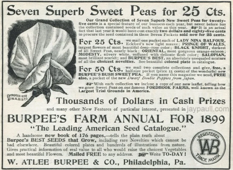 print ad